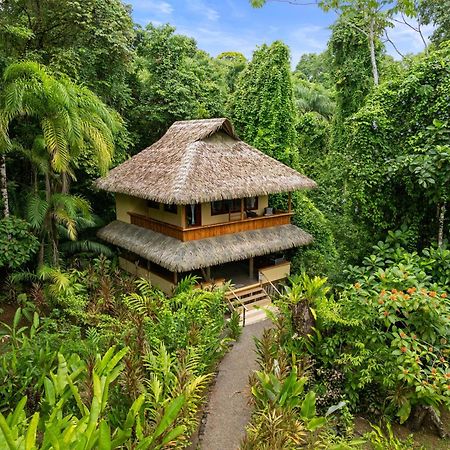 Copa De Arbol Beach & Rainforest Resort Drake Bay Zewnętrze zdjęcie