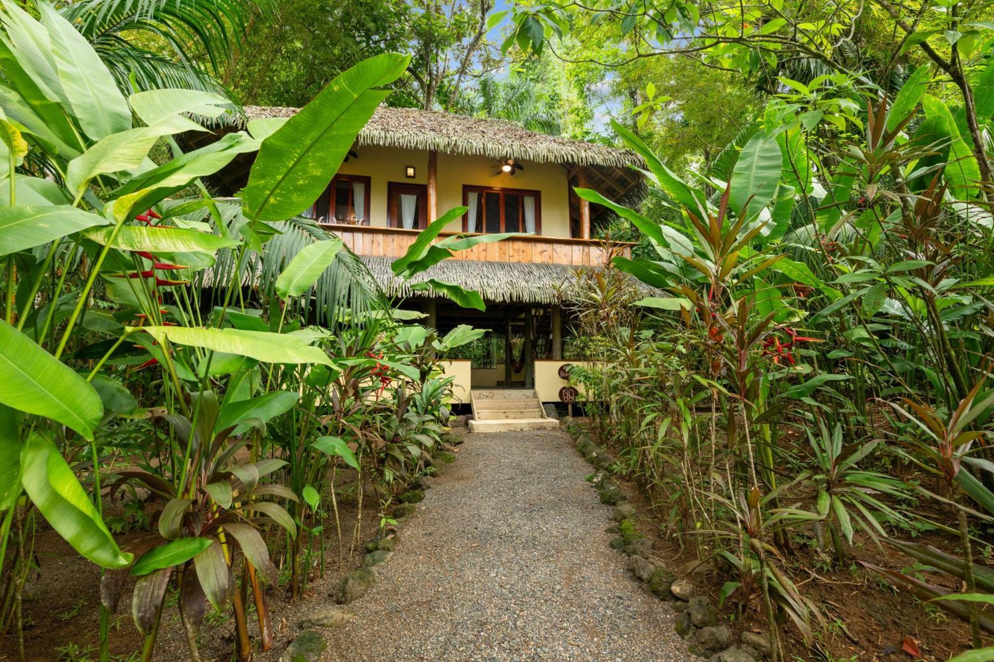 Copa De Arbol Beach & Rainforest Resort Drake Bay Pokój zdjęcie