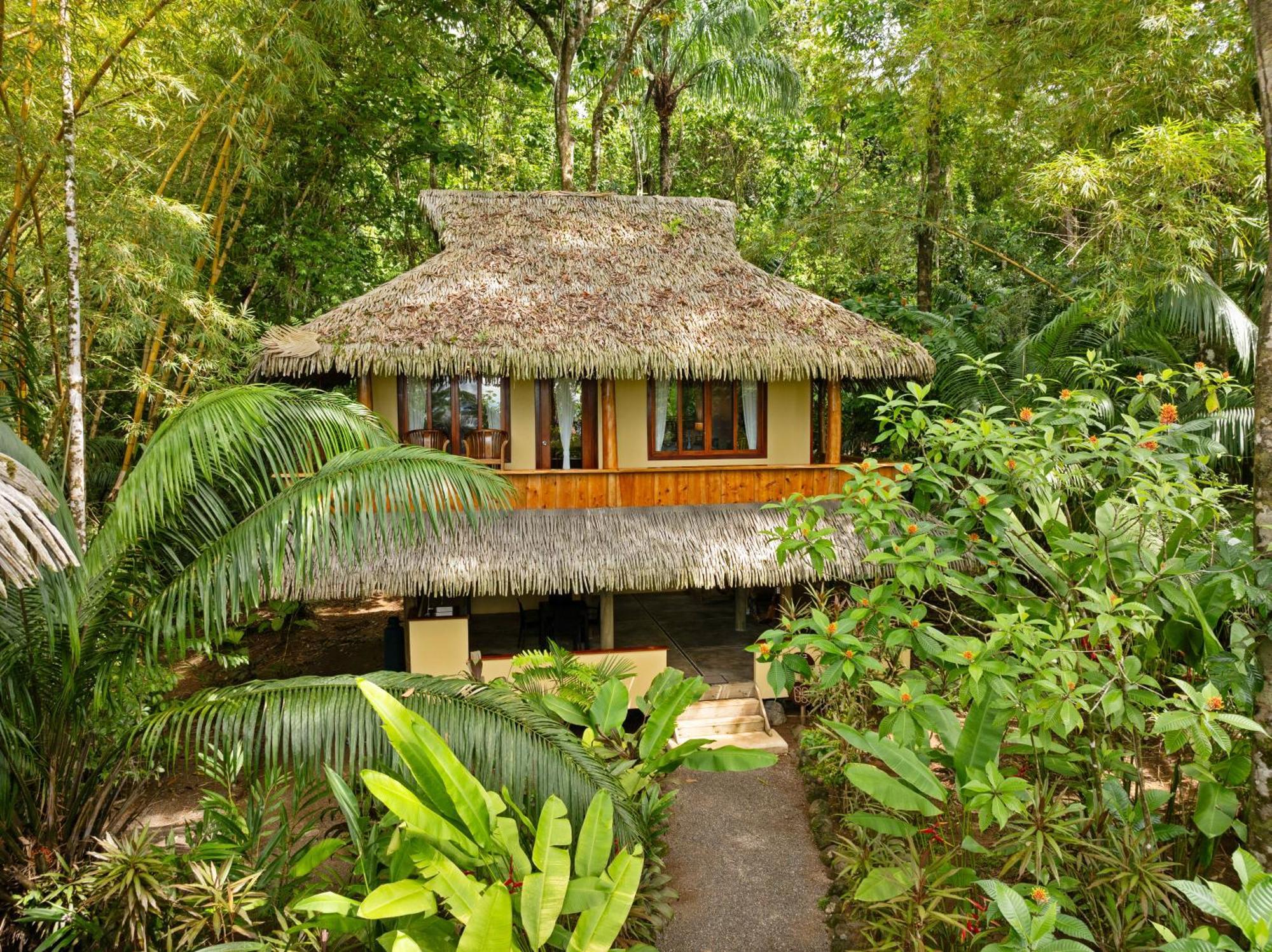 Copa De Arbol Beach & Rainforest Resort Drake Bay Pokój zdjęcie
