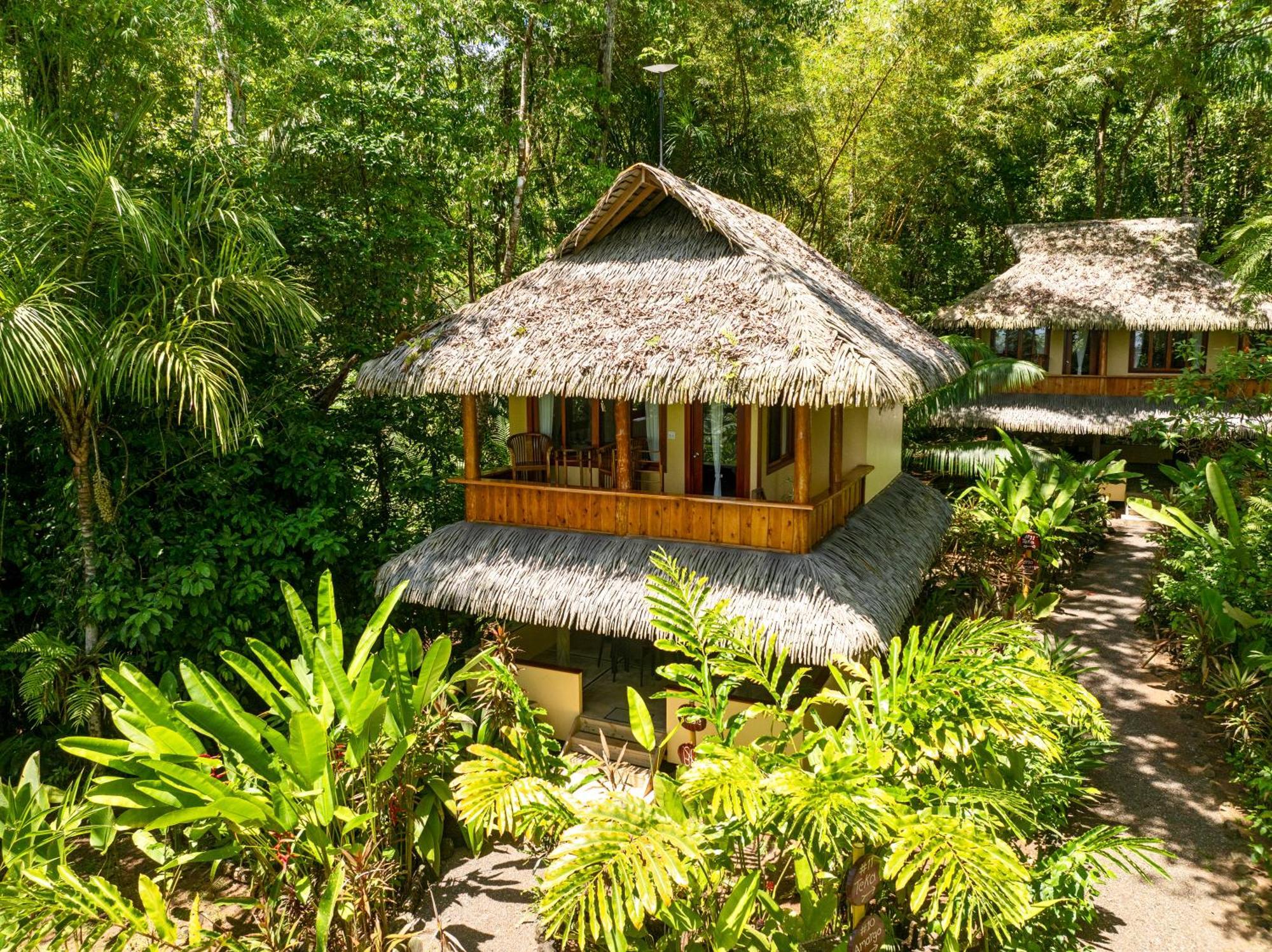Copa De Arbol Beach & Rainforest Resort Drake Bay Zewnętrze zdjęcie