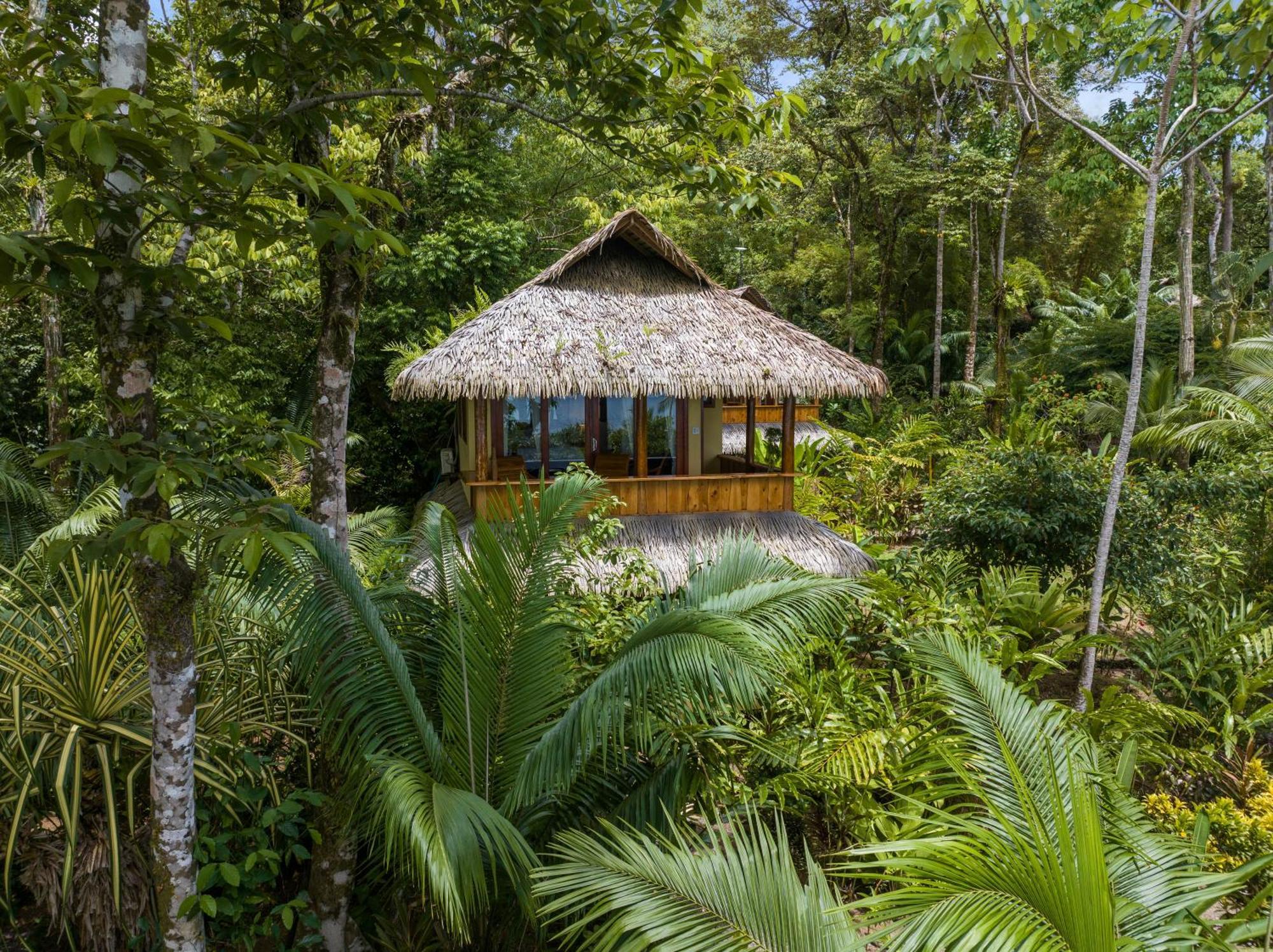 Copa De Arbol Beach & Rainforest Resort Drake Bay Pokój zdjęcie