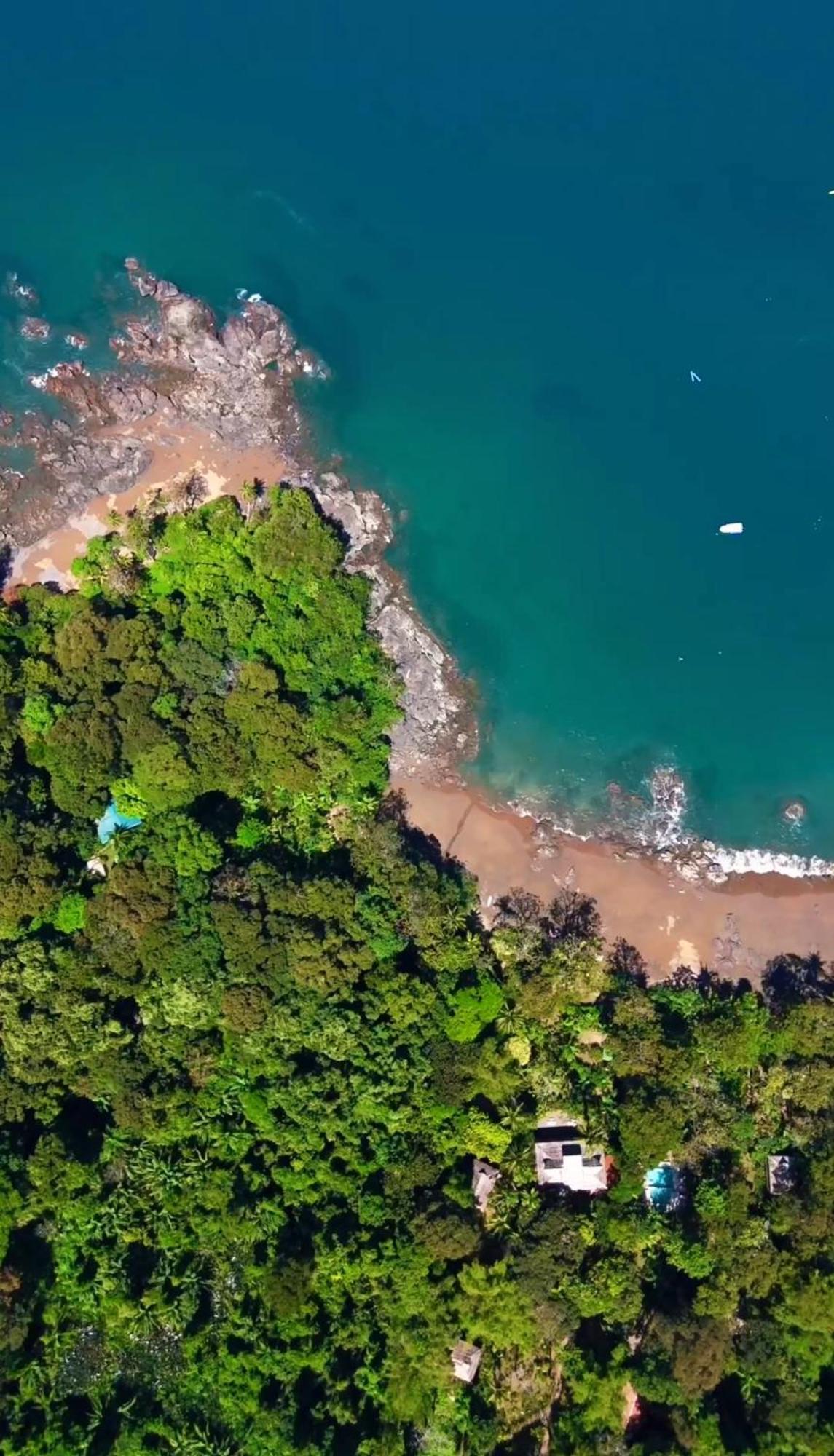 Copa De Arbol Beach & Rainforest Resort Drake Bay Zewnętrze zdjęcie