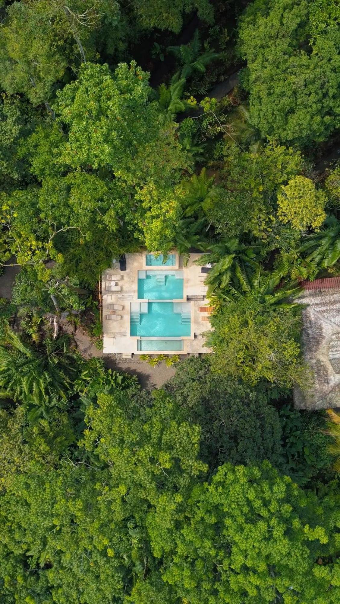 Copa De Arbol Beach & Rainforest Resort Drake Bay Zewnętrze zdjęcie
