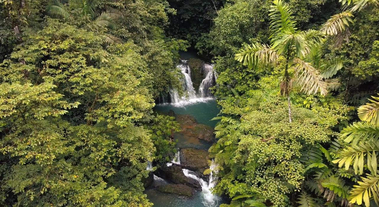 Copa De Arbol Beach & Rainforest Resort Drake Bay Zewnętrze zdjęcie