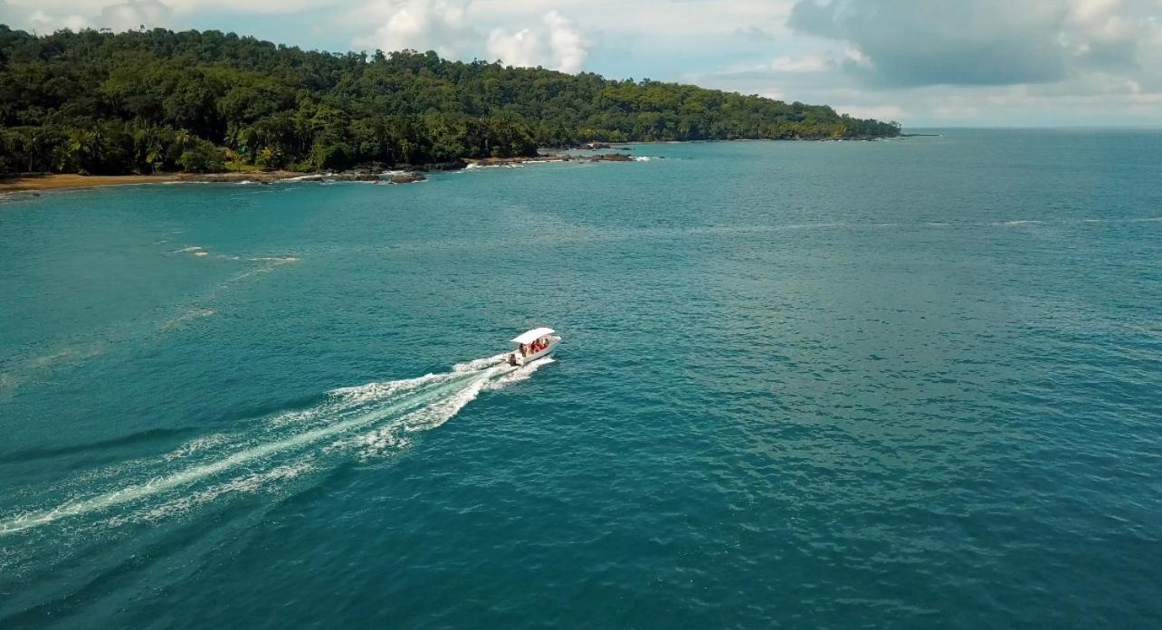 Copa De Arbol Beach & Rainforest Resort Drake Bay Zewnętrze zdjęcie