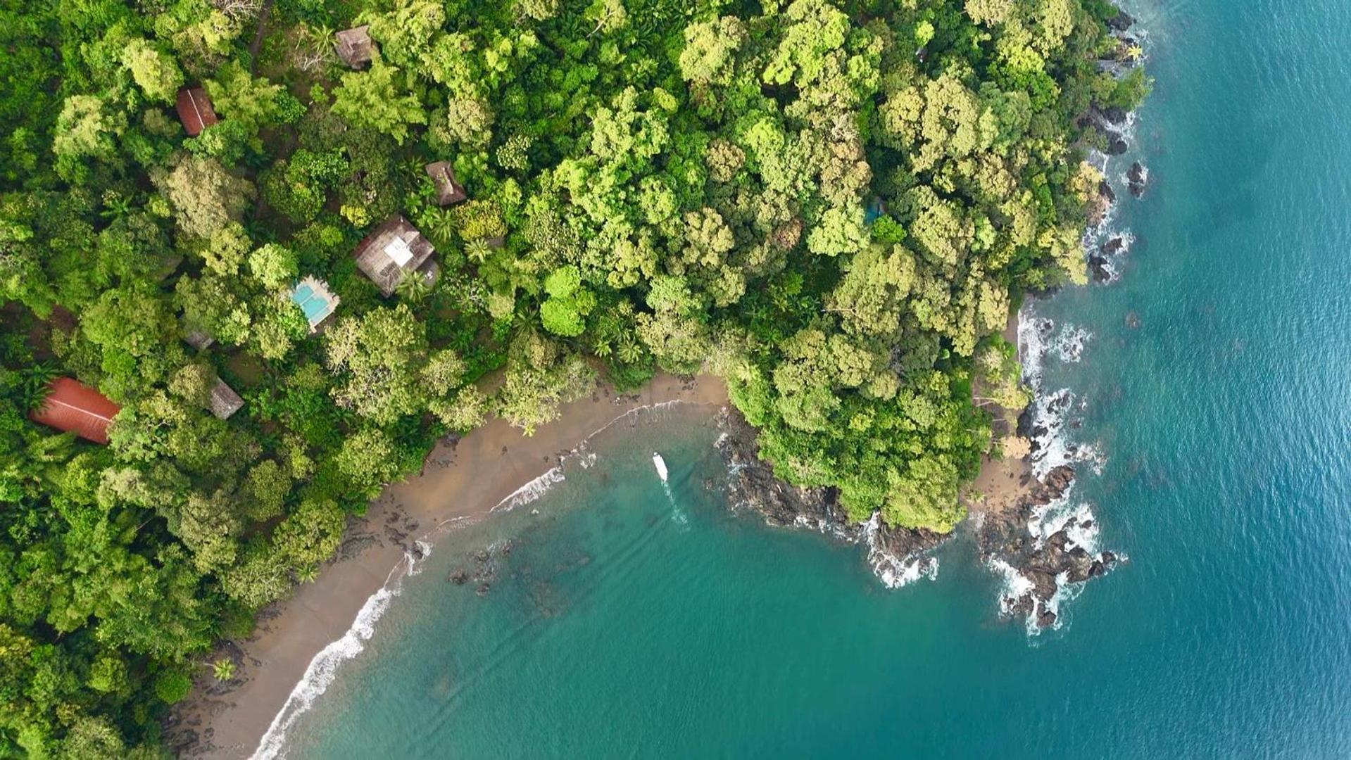 Copa De Arbol Beach & Rainforest Resort Drake Bay Zewnętrze zdjęcie
